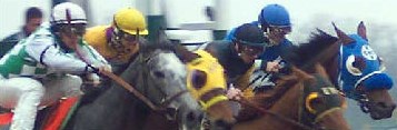 Derby Race Horses on the first Saturday in May