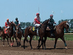 Race horses walking on Churchill Downs Race track